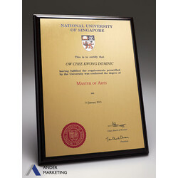 NUS Degree Wooden Plaque