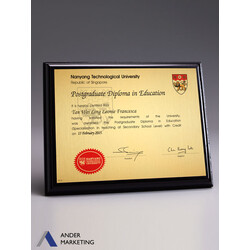 NTU Degree Wooden Plaque