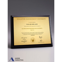 SMU Degree Wooden Plaque