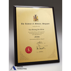 The Academy of Medicine Wooden Plaque