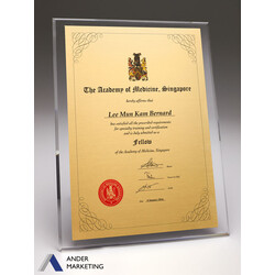 The Academy of Medicine Acrylic Plaque